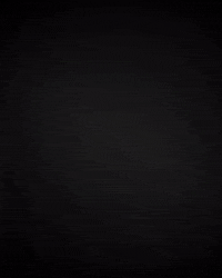 nwmsrocks motorsport northwest nwmsrocks the bone GIF