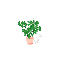 polinasogo summer coffee new post vibes Sticker