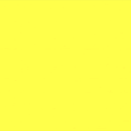 GIF by Zoomer