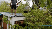 Cyclone Emnati Downs Trees in Southeastern Madagascar
