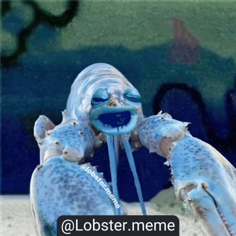 Lobster Plankton GIF