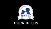 petsnusofficial cat dog pet rabbit GIF