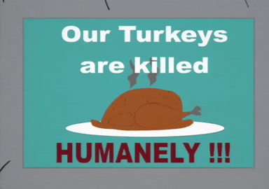 turkey plate GIF by South Park 
