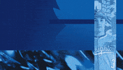Creighton Bluejays GIF by Creighton University Athletics