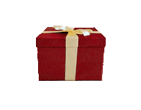 Foodie Gifting Sticker by Cooking with Tenina