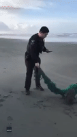 Police Officers Rescue Seal Trapped in Plastic in Ocean Shores, Washington