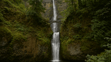 beauty bridge GIF by Jerology