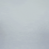 Texas Tech GIF by Texas Tech Baseball