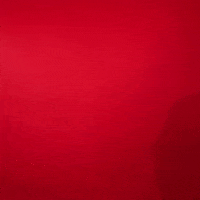 Texas Tech GIF by Texas Tech Baseball