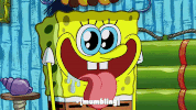 episode 1 whirly brains GIF by SpongeBob SquarePants