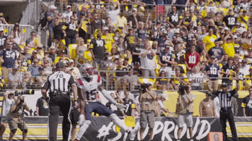 Football Celebration GIF by New England Patriots