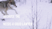 GIF by Earthjustice