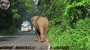 GIF by Mashable