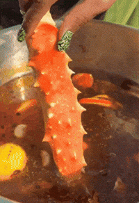 Hungry Lets Eat GIF by AnaCatali