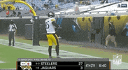 Pittsburgh Steelers Football GIF by NFL