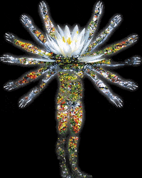 JunoReactor psychedelic festival concert spirit GIF