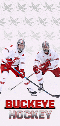 Hockey Osu GIF by Ohio State Athletics