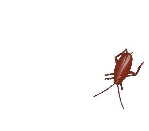 Illustration Loop Sticker by Janet Mac