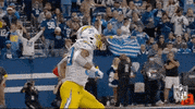 Slow Motion Football GIF by NFL