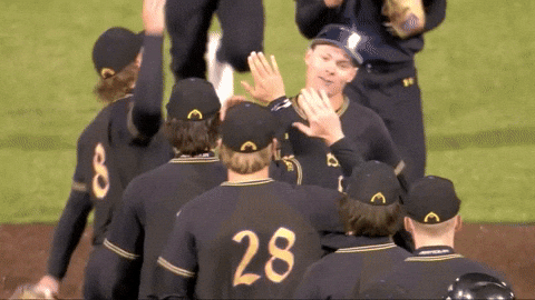 College Baseball W GIF by Northwestern Athletics