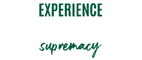 SandwichSandwichLtd giphyupload typography brand lettering Sticker