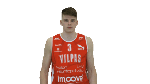 Sport Basketball Sticker by Basket_fi