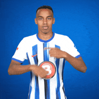 Football Bundesliga GIF by Hertha BSC