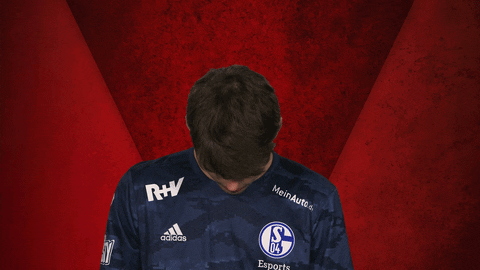 Schalke Vbl GIF by Bundesliga