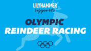 2014 olympics lol GIF by Lilyhammer