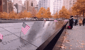new york GIF
