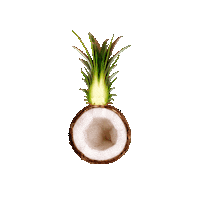 Coco Pina Sticker