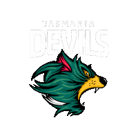 Australian Football League Afl Sticker by tasmaniafc