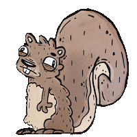 Squirrel Oregon Sticker by Mike Bennett Art
