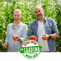 Freshful angela legume hipermarket online freshful GIF