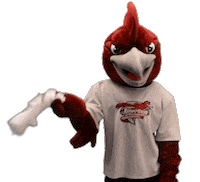 Mascot Rcnj Sticker by Ramapo College of New Jersey