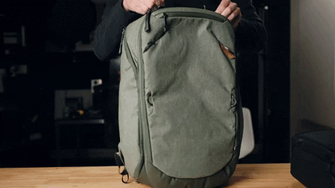 tdominey giphyupload GIF