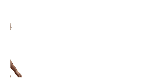 Basketball Walking Sticker by Tango Bourges Basket