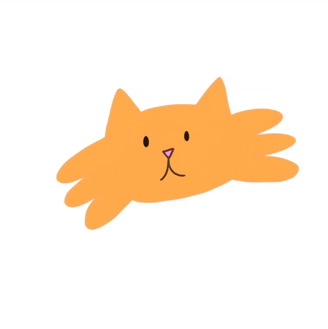 sarcelle_art cat kitty blink orangecat GIF