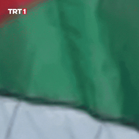 Flag Help GIF by TRT