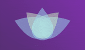 Healing GIF by Novant Health