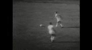 Forzacasteddu GIF by Cagliari Calcio
