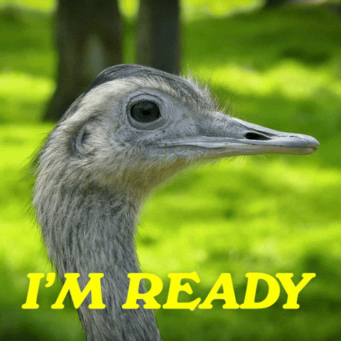 You Got This Lets Go GIF by Sealed With A GIF