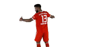 Football Win Sticker by FC Bayern Munich