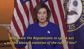 Nancy Pelosi GIF
