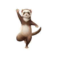 Fitness Workout Sticker