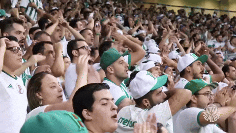 allianz parque GIF by SE Palmeiras