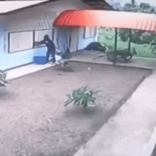 GifsUniverse giphyupload gifvif gifsuniverse GIF