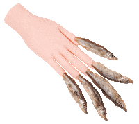 fish lol STICKER by Phyllis Ma