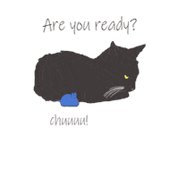 Cat Sticker