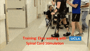 walking walk GIF by University of California